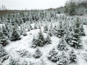 dcim100mediadji 0049.jpg