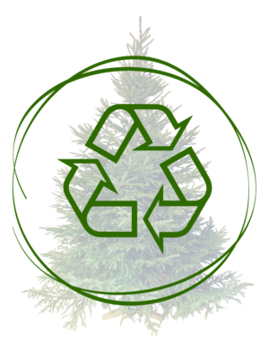 kuuse/nulu äraviimine jaanuaris (4./6./8.01.)