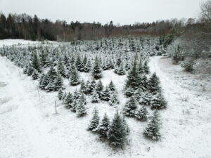 dcim100mediadji 0046.jpg